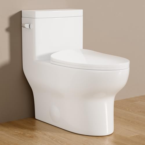 Sarlai One Piece Toilet -