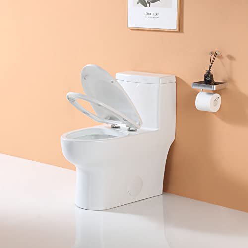 HOROW HR-ST076W Elongated Toilet with view 2