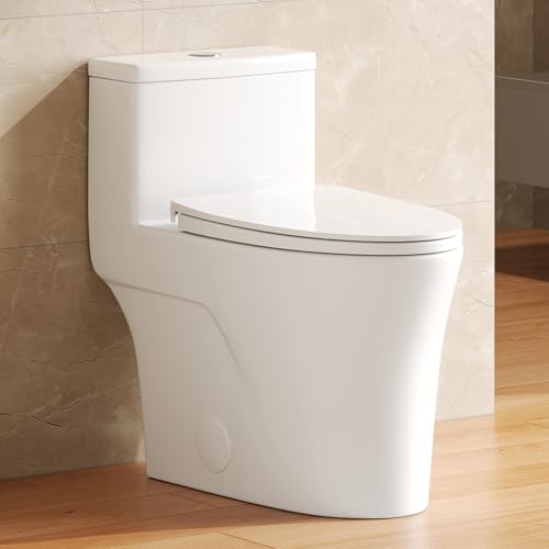 DeerValley Elongated One-Piece Toilet with