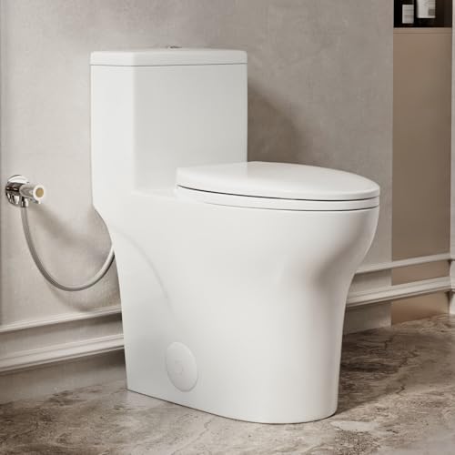 19 Inch High Toilet Los