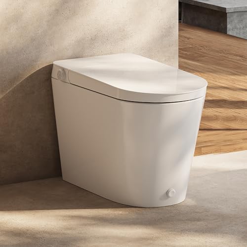 HOROW Non-Electric Bidet Toilet with