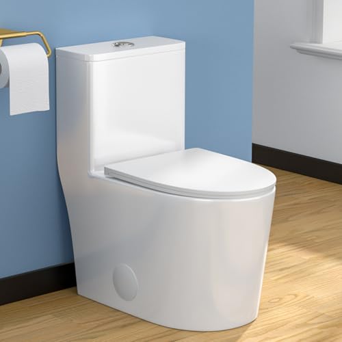 Lordear One Piece Toilets for