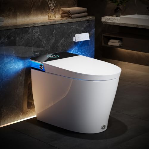 HOROW T38 Smart Toilet with