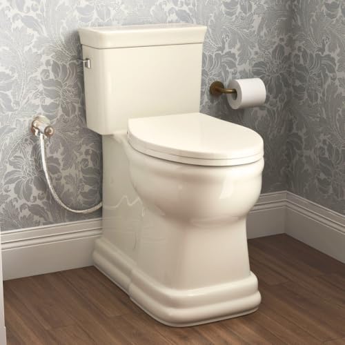 19 Inch High Toilet Beige