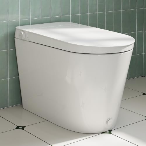 HOROW HR-N30 Non-Electric Bidet Toilet