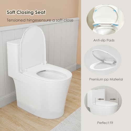 One Piece Toilet Elongated ADA view 2