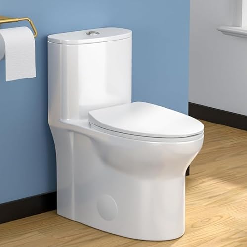 Lordear One Piece Toilets for