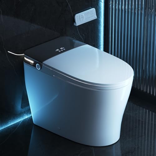 DeerValley Smart Toilet with Bidet