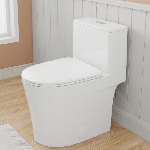 One Piece Toilet Elongated ADA