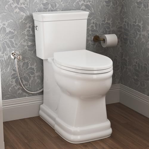 19 Inch High Toilet Los