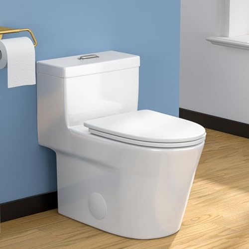 Lordear One Piece Toilets for