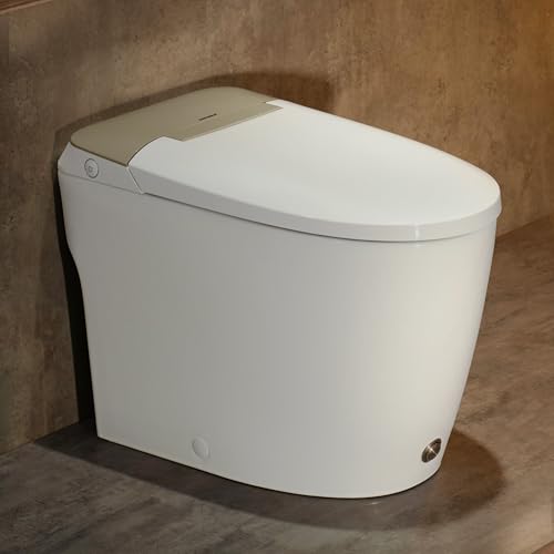 Elongated One Piece Toilet for