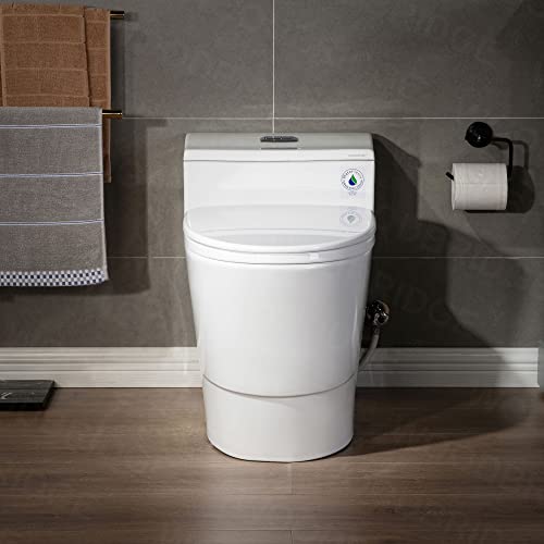 WOODBRIDGE T-0018/B-0735 Dual Flush Elongated view 2