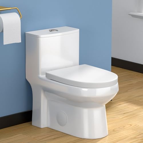 Lordear One Piece Toilets for