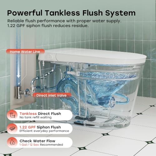 HOROW HR-N30 Non-Electric Bidet Toilet view 4