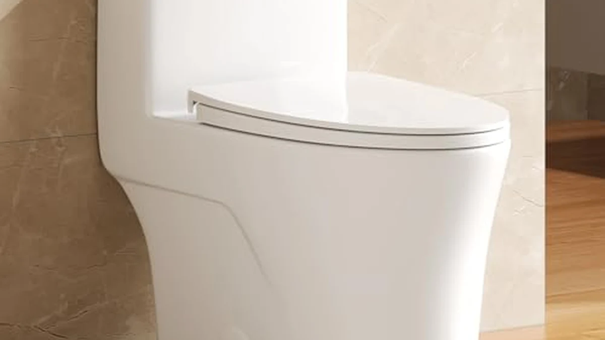 One Piece vs Two Piece Toilets comparison
